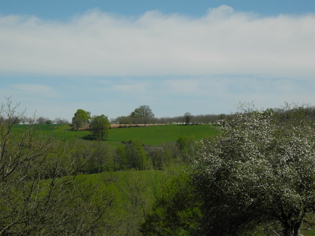 Commune de nailhac en Périgord noir (Dordogne)