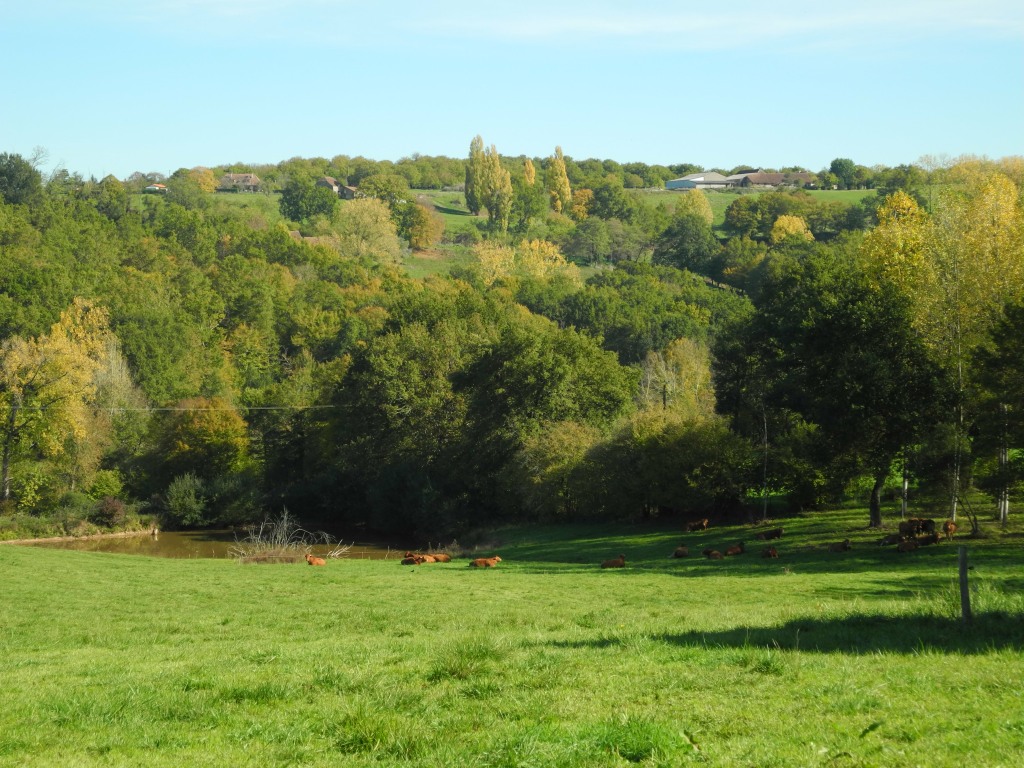 Commune de nailhac en Périgord noir (Dordogne)