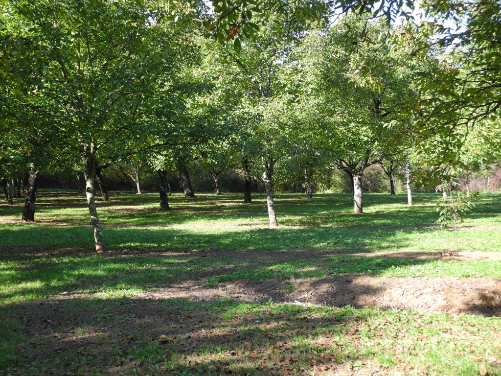 Commune de nailhac en Périgord noir (Dordogne)